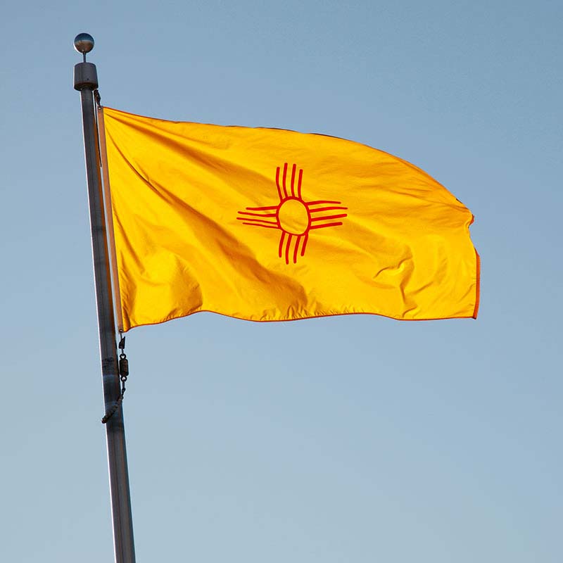 NM state flag